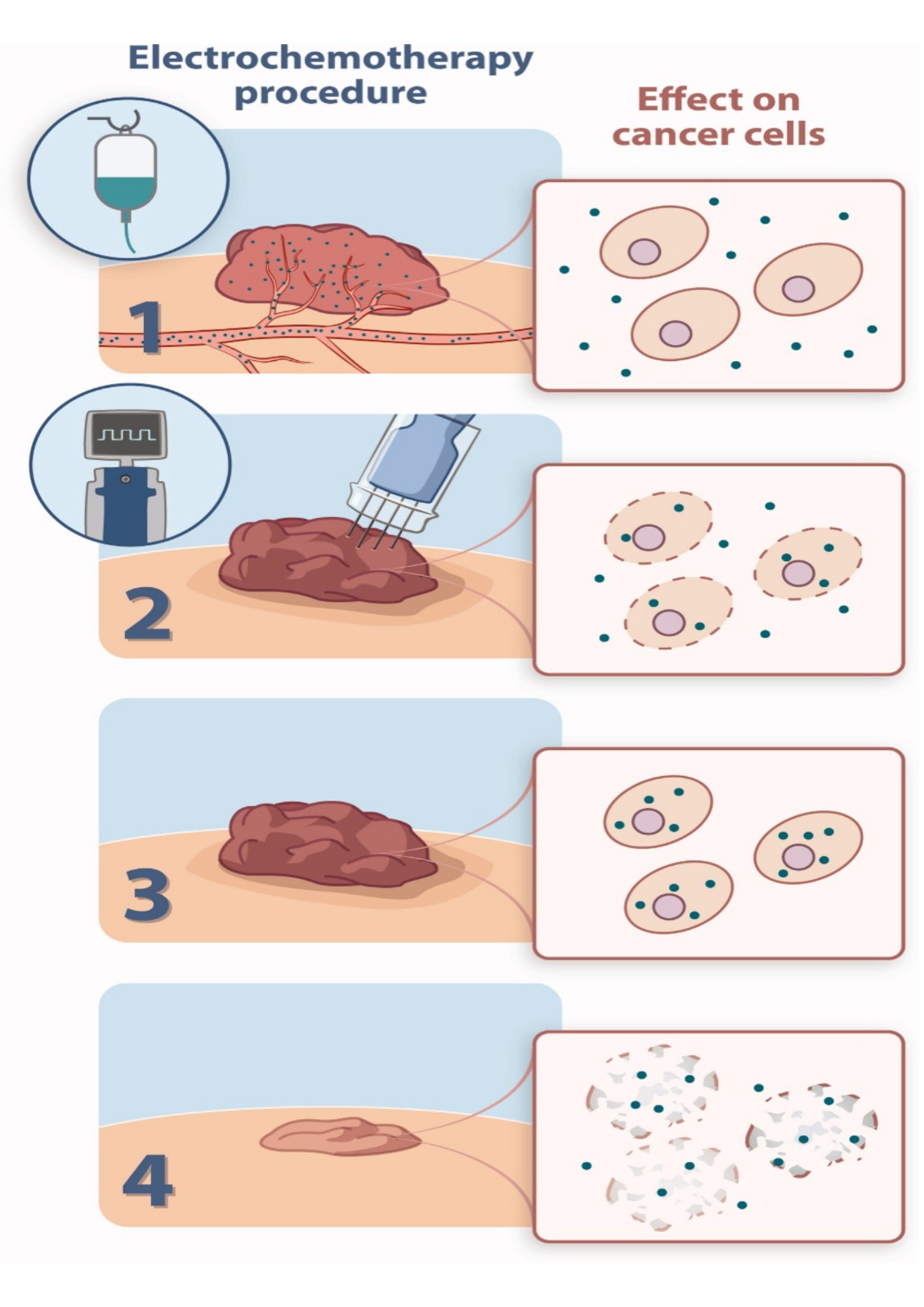 WhatsApp Image 2025-07-15 at 11.45.07